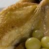 Pichones de Tierra de Campos