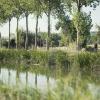 Vista del Canal de Castilla