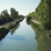Vista del Canal de Castilla a su paso por el término municipal de Palencia