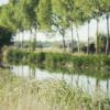 Canal de Castilla