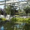 Parque del Salón de Isabel II