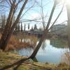 Riberas del Río Carrión