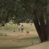 Parque Ribera Sur