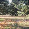 Parque del Sotillo
