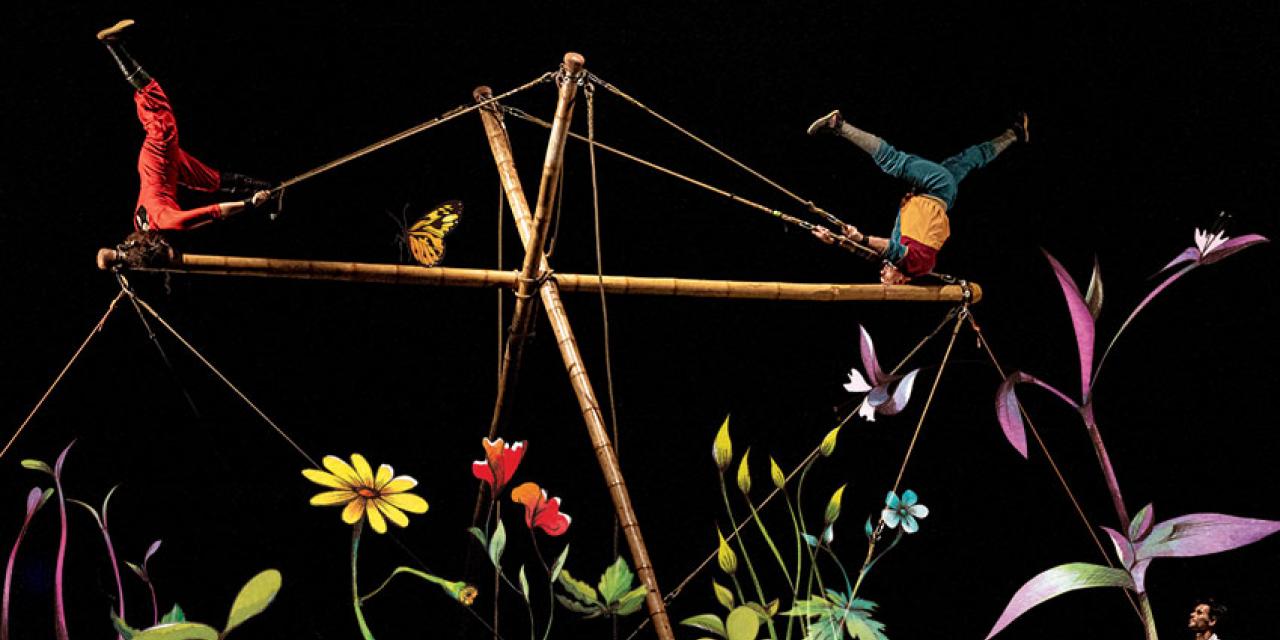 "Ávol", de Circo Bover