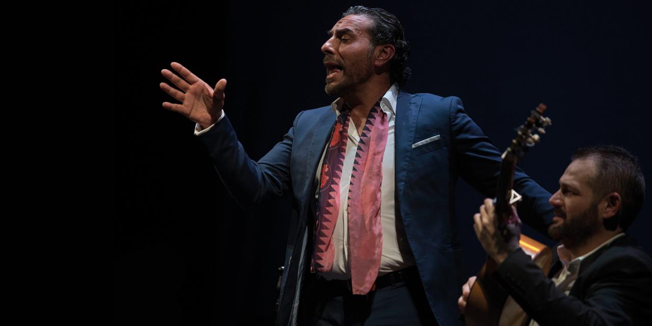 Pedro el Granaino