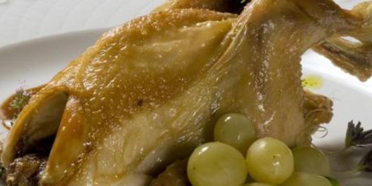 Pichones de Tierra de Campos