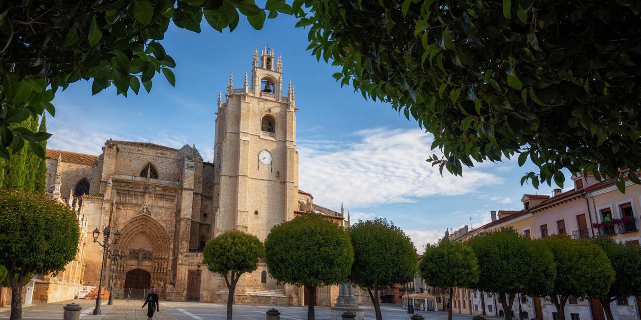 Catedral de San Antolín