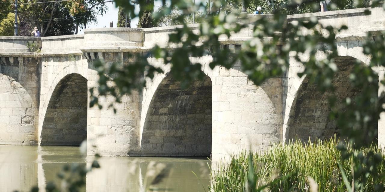 Puente Mayor