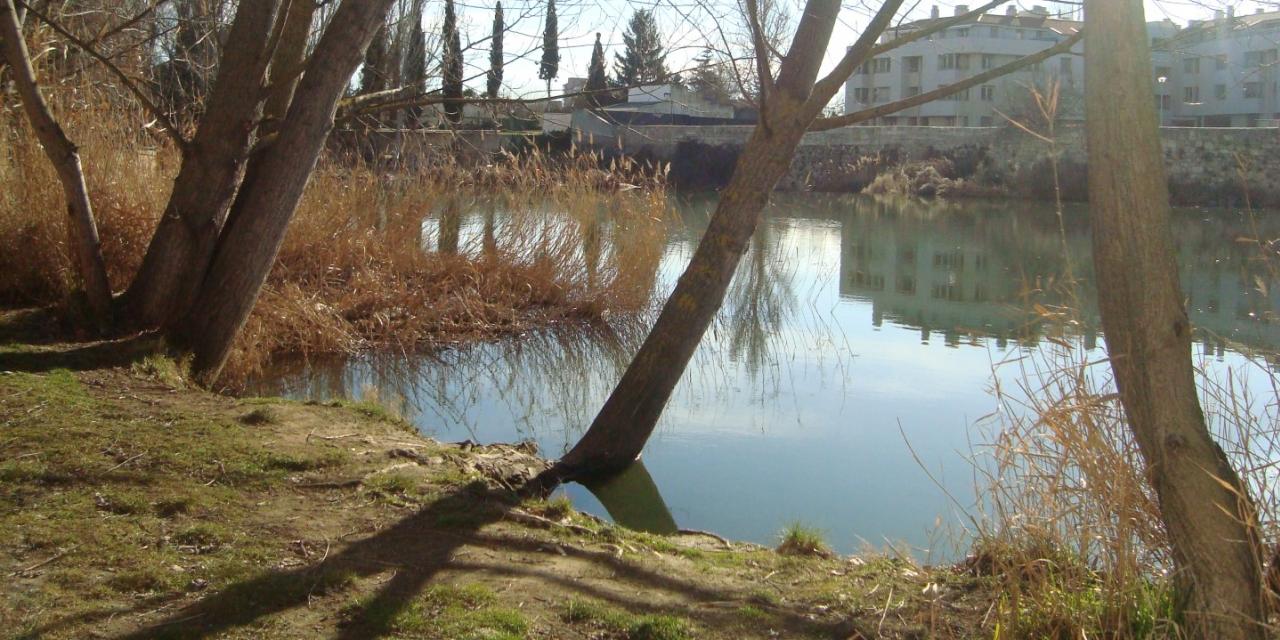 Riberas del Río Carrión