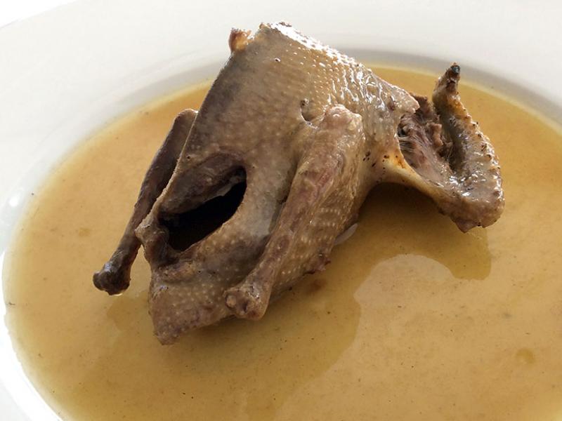 Pichones de Tierra de Campos