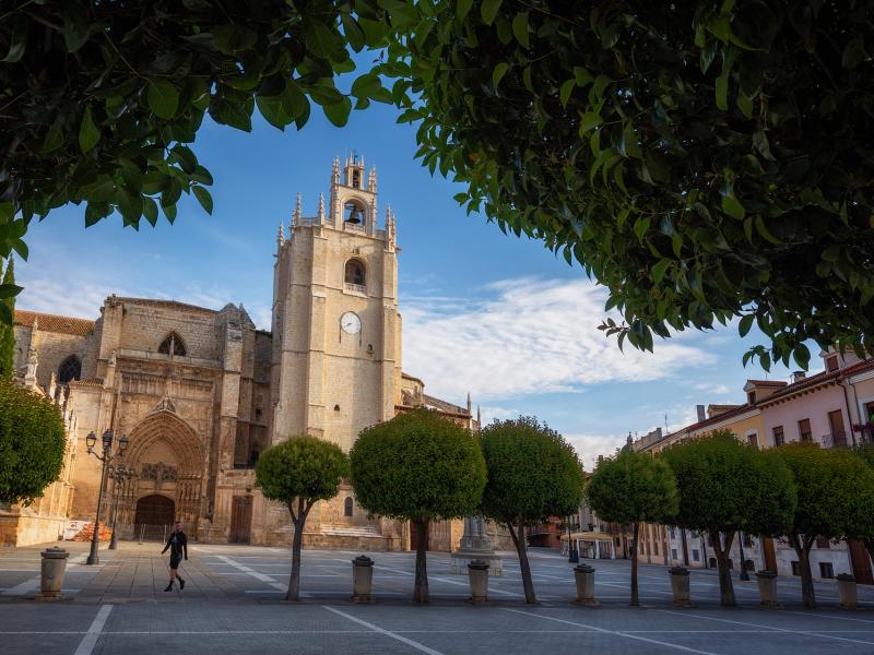 Catedral de San Antolín