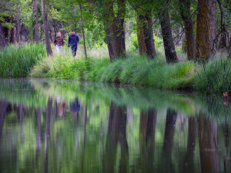 Dársena del Canal de Castilla