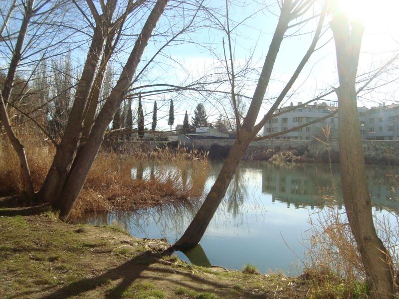 Rives de la rivière Carrión