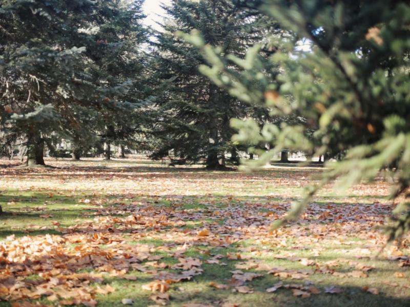 Parc Sotillo de los Canónigos