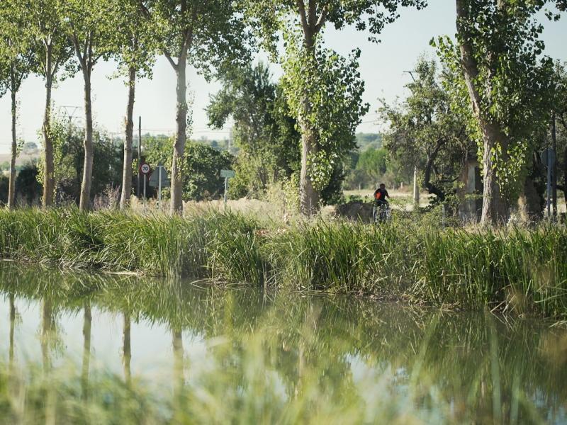 Canal de Castilla