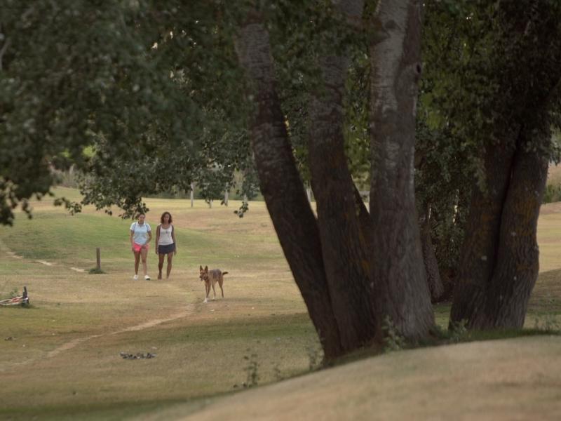 Ruta "Camino de Torrecilla"