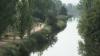 Canal de Castilla